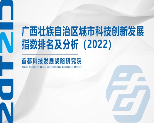 操骚屄电影【成果发布】广西壮族自治区城市科技创新发展指数排名及分析（2022）